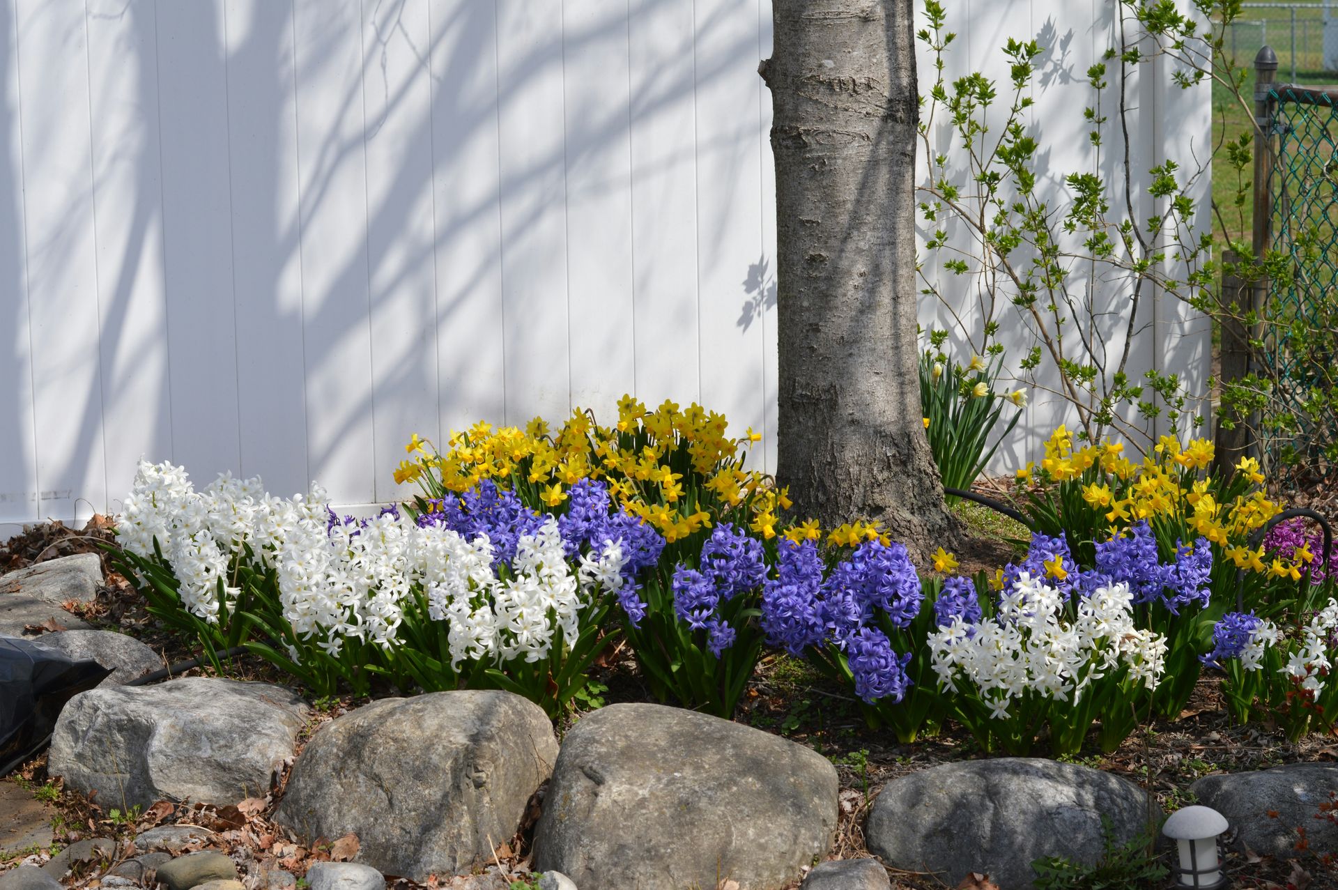 Colorful flowers bloom around a tree
