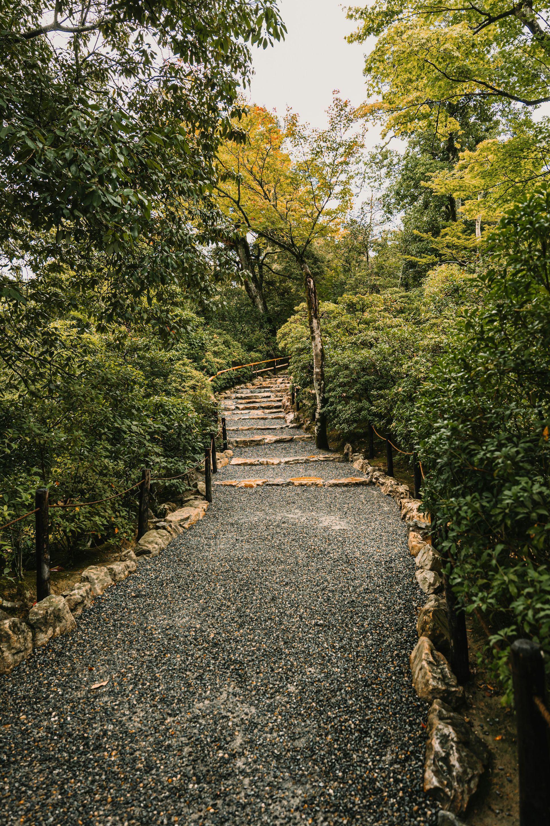 Stone steps ascend through a lush green forest path
